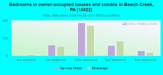 Bedrooms in owner-occupied houses and condos in Beech Creek, PA (16822) 