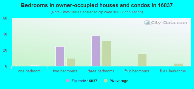 Bedrooms in owner-occupied houses and condos in 16837 