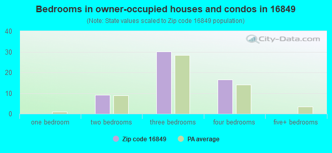 Bedrooms in owner-occupied houses and condos in 16849 