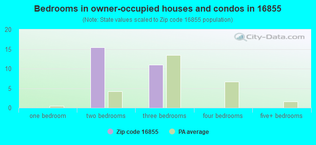 Bedrooms in owner-occupied houses and condos in 16855 