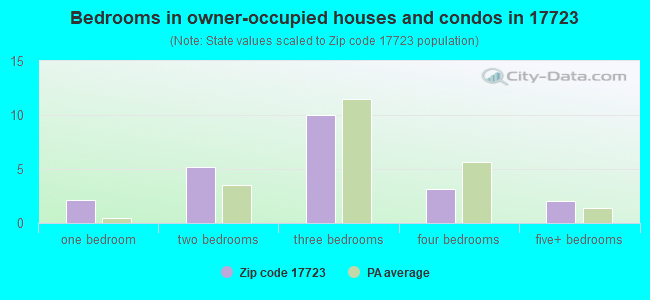 Bedrooms in owner-occupied houses and condos in 17723 