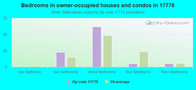 Bedrooms in owner-occupied houses and condos in 17776 