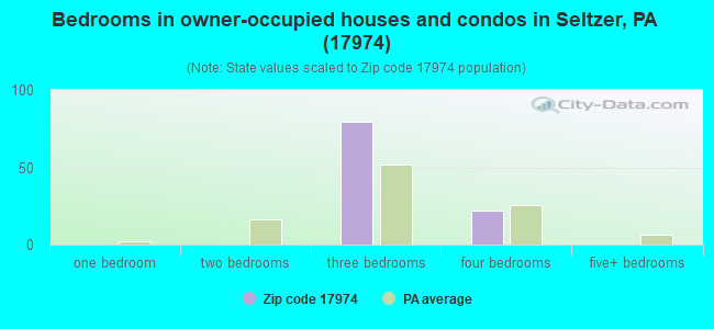 Bedrooms in owner-occupied houses and condos in Seltzer, PA (17974) 