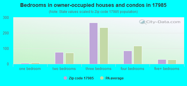 Bedrooms in owner-occupied houses and condos in 17985 