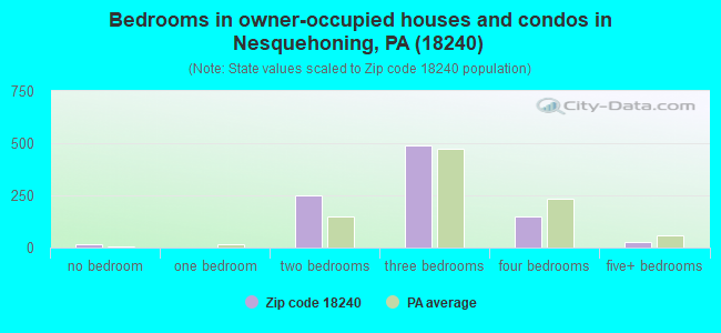 Bedrooms in owner-occupied houses and condos in Nesquehoning, PA (18240) 