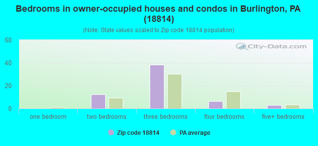 Bedrooms in owner-occupied houses and condos in Burlington, PA (18814) 