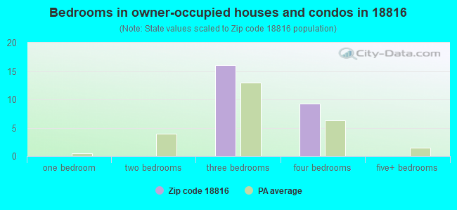 Bedrooms in owner-occupied houses and condos in 18816 