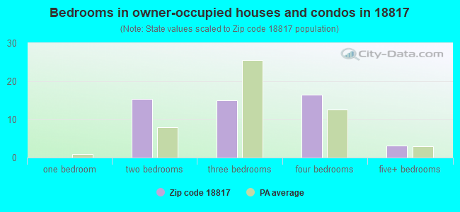 Bedrooms in owner-occupied houses and condos in 18817 