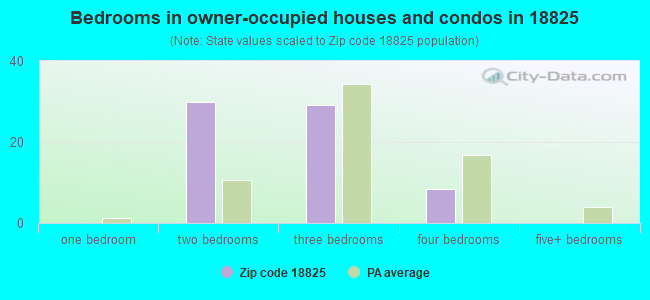 Bedrooms in owner-occupied houses and condos in 18825 