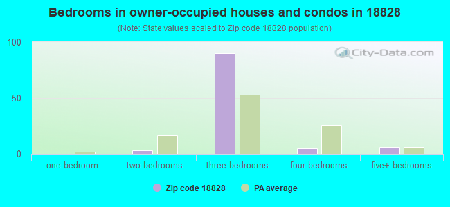 Bedrooms in owner-occupied houses and condos in 18828 