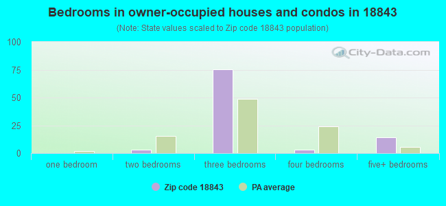 Bedrooms in owner-occupied houses and condos in 18843 