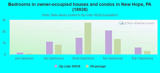 Bedrooms in owner-occupied houses and condos in New Hope, PA (18938) 
