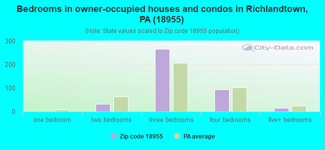 Bedrooms in owner-occupied houses and condos in Richlandtown, PA (18955) 