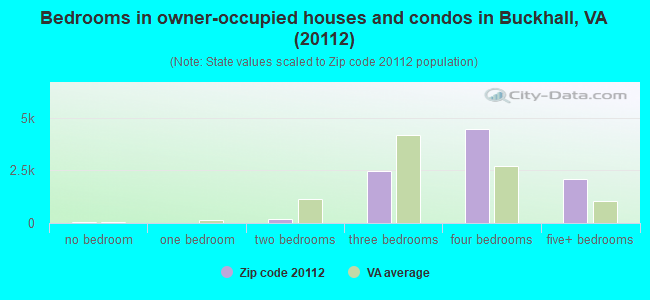 Bedrooms in owner-occupied houses and condos in Buckhall, VA (20112) 