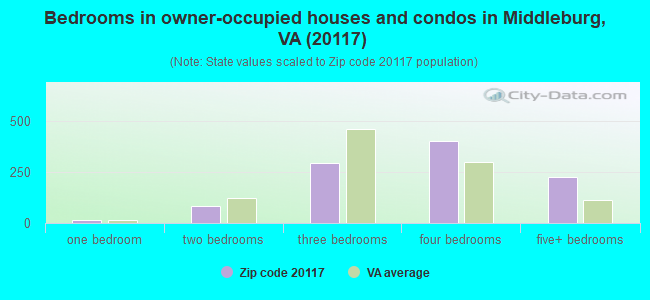 Bedrooms in owner-occupied houses and condos in Middleburg, VA (20117) 