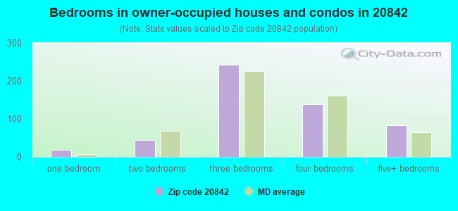 Bedrooms in owner-occupied houses and condos in 20842 