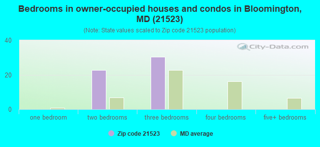 Bedrooms in owner-occupied houses and condos in Bloomington, MD (21523) 