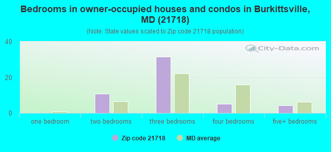 Bedrooms in owner-occupied houses and condos in Burkittsville, MD (21718) 