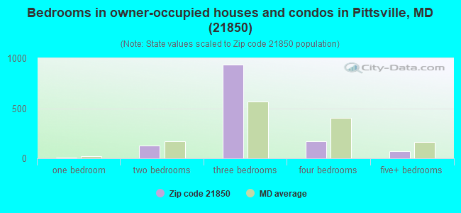 Bedrooms in owner-occupied houses and condos in Pittsville, MD (21850) 