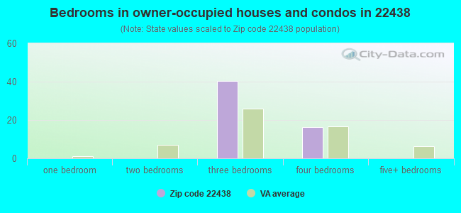 Bedrooms in owner-occupied houses and condos in 22438 