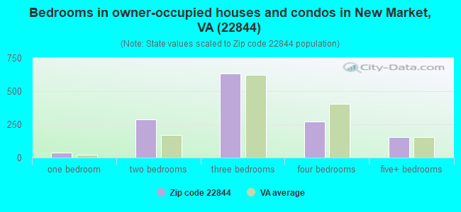 Bedrooms in owner-occupied houses and condos in New Market, VA (22844) 