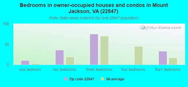 Bedrooms in owner-occupied houses and condos in Mount Jackson, VA (22847) 