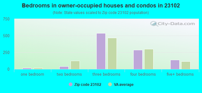 Bedrooms in owner-occupied houses and condos in 23102 