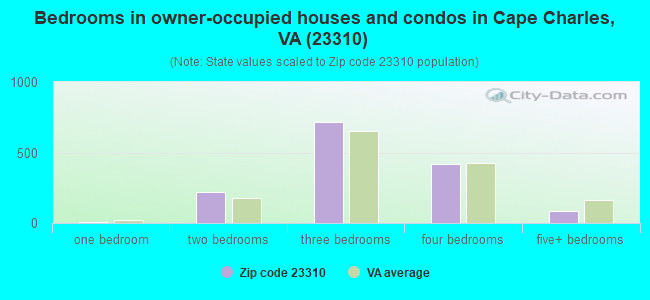 Bedrooms in owner-occupied houses and condos in Cape Charles, VA (23310) 