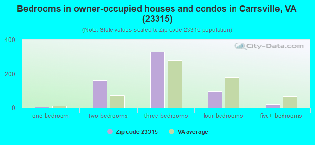 Bedrooms in owner-occupied houses and condos in Carrsville, VA (23315) 