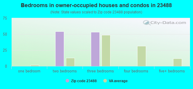 Bedrooms in owner-occupied houses and condos in 23488 