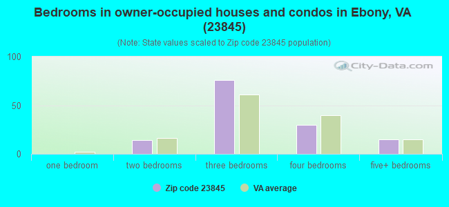 Bedrooms in owner-occupied houses and condos in Ebony, VA (23845) 