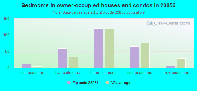 Bedrooms in owner-occupied houses and condos in 23856 