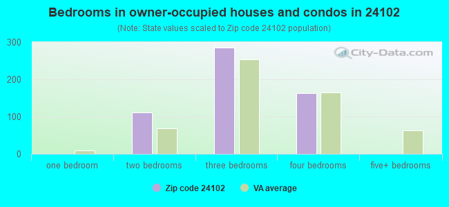 Bedrooms in owner-occupied houses and condos in 24102 