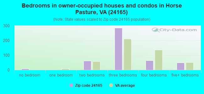 Bedrooms in owner-occupied houses and condos in Horse Pasture, VA (24165) 