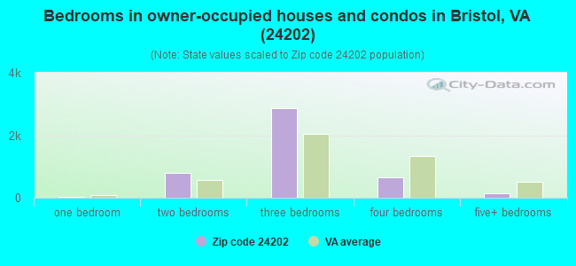 Bedrooms in owner-occupied houses and condos in Bristol, VA (24202) 