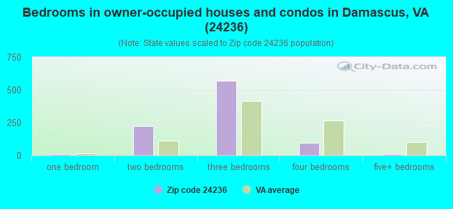 Bedrooms in owner-occupied houses and condos in Damascus, VA (24236) 