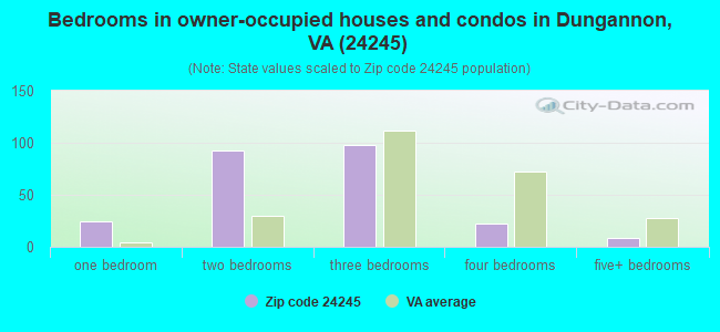 Bedrooms in owner-occupied houses and condos in Dungannon, VA (24245) 