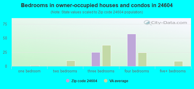 Bedrooms in owner-occupied houses and condos in 24604 