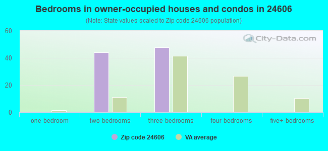 Bedrooms in owner-occupied houses and condos in 24606 