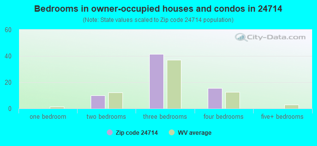 Bedrooms in owner-occupied houses and condos in 24714 