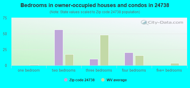 Bedrooms in owner-occupied houses and condos in 24738 