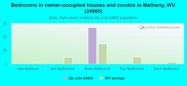 Bedrooms in owner-occupied houses and condos in Matheny, WV (24860) 