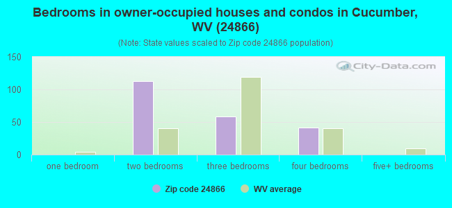 Bedrooms in owner-occupied houses and condos in Cucumber, WV (24866) 