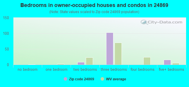 Bedrooms in owner-occupied houses and condos in 24869 