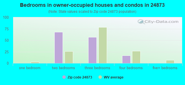 Bedrooms in owner-occupied houses and condos in 24873 