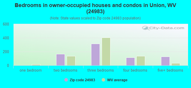 Bedrooms in owner-occupied houses and condos in Union, WV (24983) 