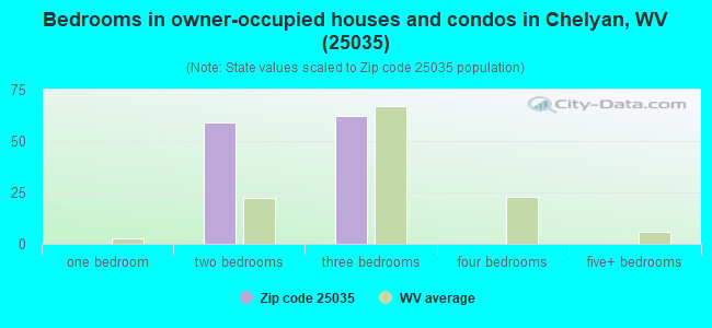 Bedrooms in owner-occupied houses and condos in Chelyan, WV (25035) 