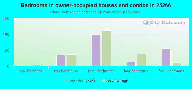 Bedrooms in owner-occupied houses and condos in 25266 