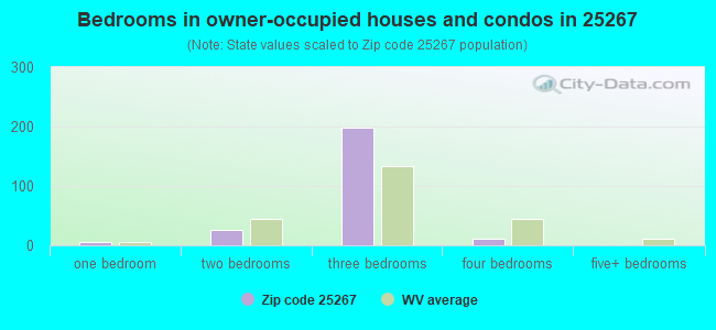 Bedrooms in owner-occupied houses and condos in 25267 