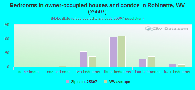 Bedrooms in owner-occupied houses and condos in Robinette, WV (25607) 